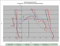 Analyse der Hrdentechnik 2